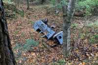 Fund-VW-Bulli-1952-Wald-Wrack