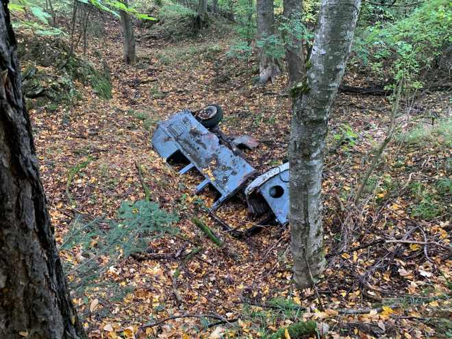 Fund-VW-Bulli-1952-Wald-Wrack