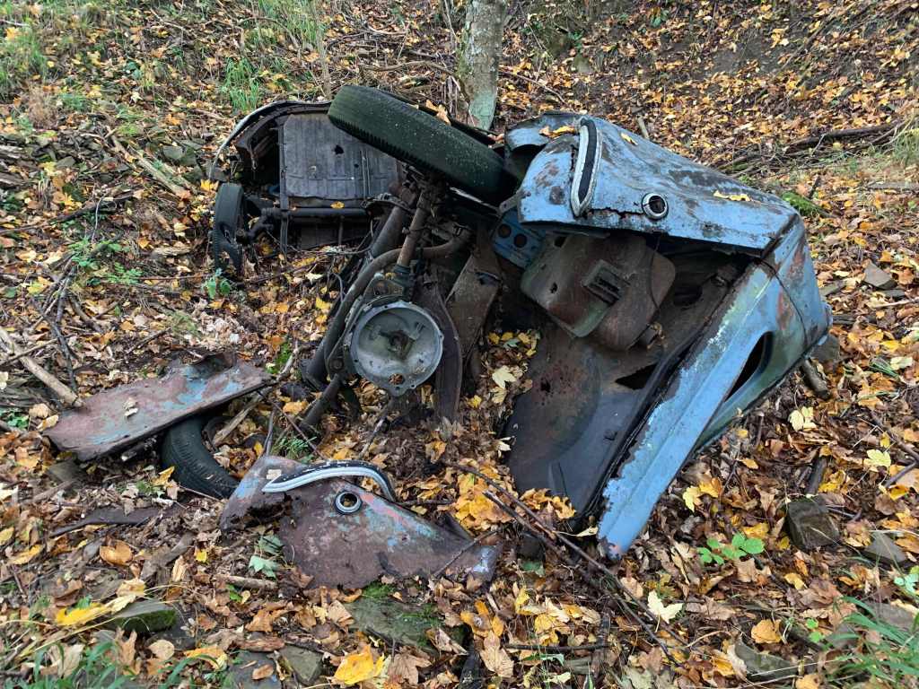 Nahansicht-Volkswagen-Transporter-Waldfund-1950er