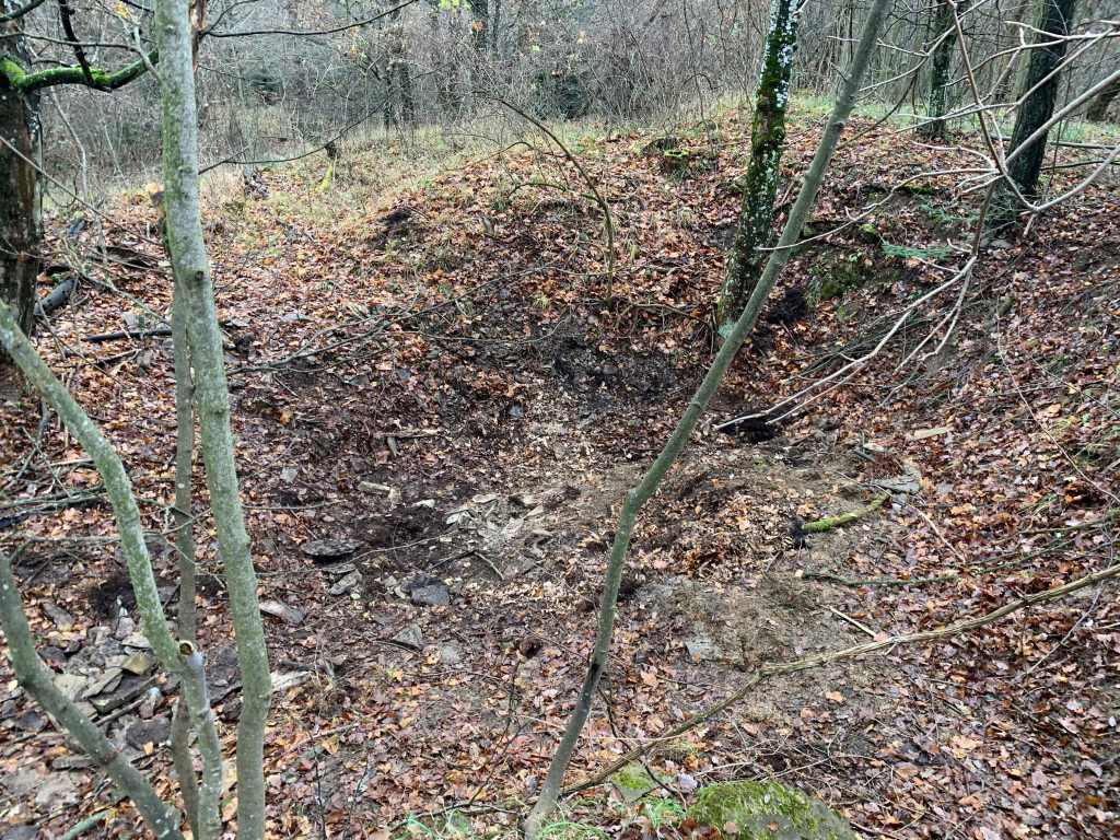 Wald-Muellentsorgung-aufgeraeumt