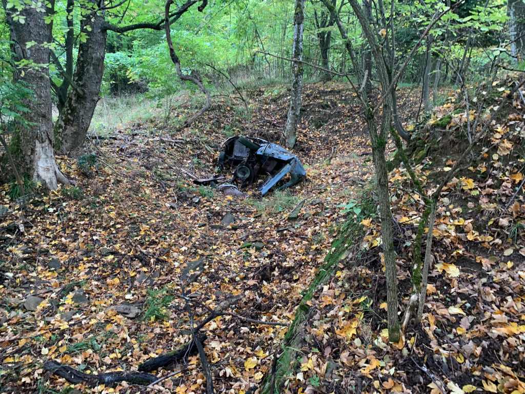 Wrack-Volkswagen-T1-Waldleiche