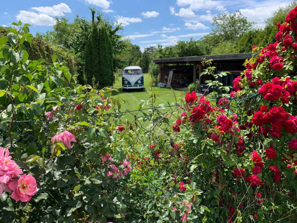 garten-testfahrt-vw-bus-t1-restauration