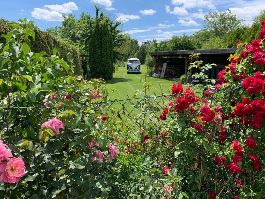 vw-splitbus-flowers-roses