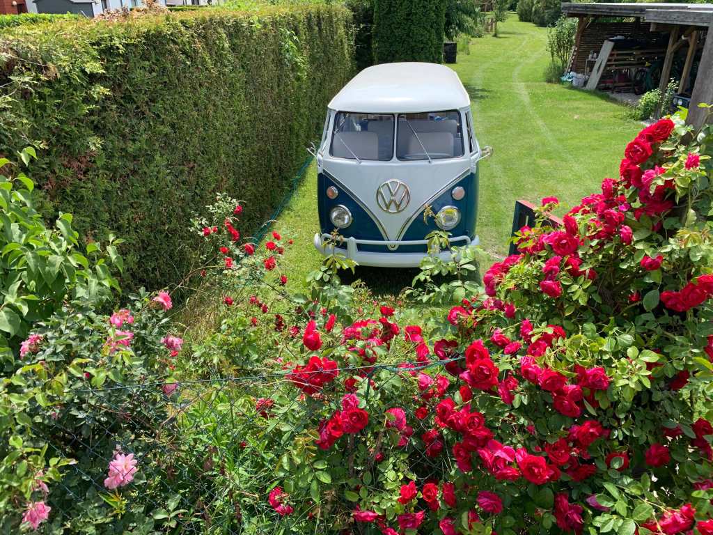 vwsplitbus-restoration-blog-summer2020-update