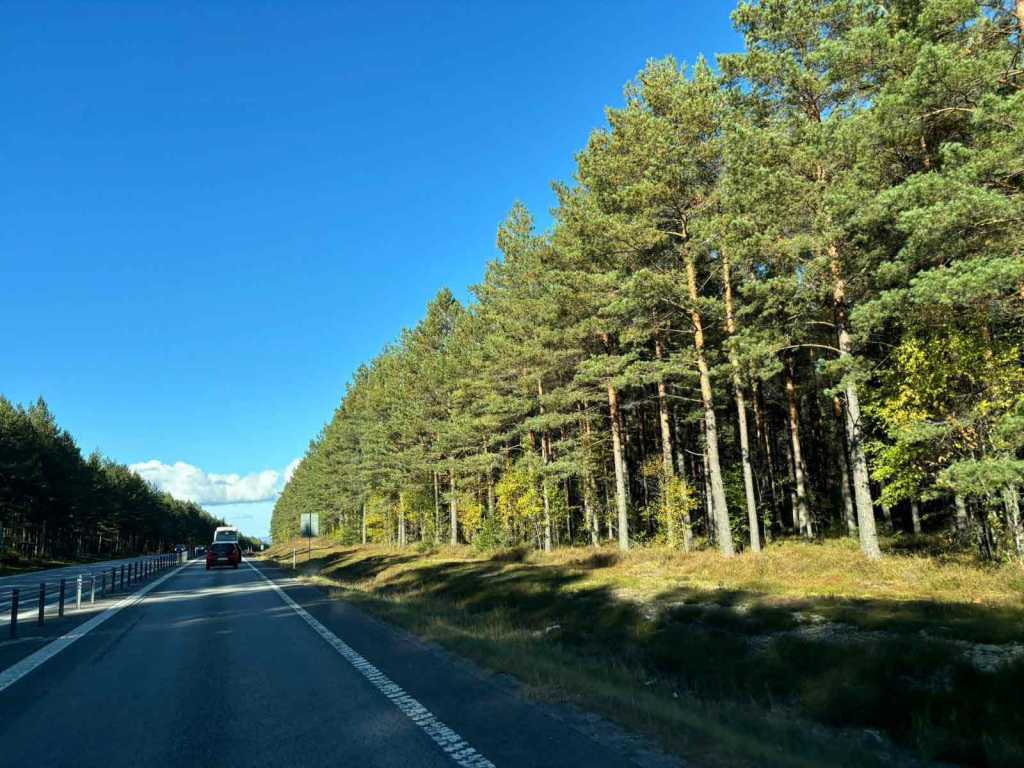 Schweden-Autofahrt-Oktober-2024