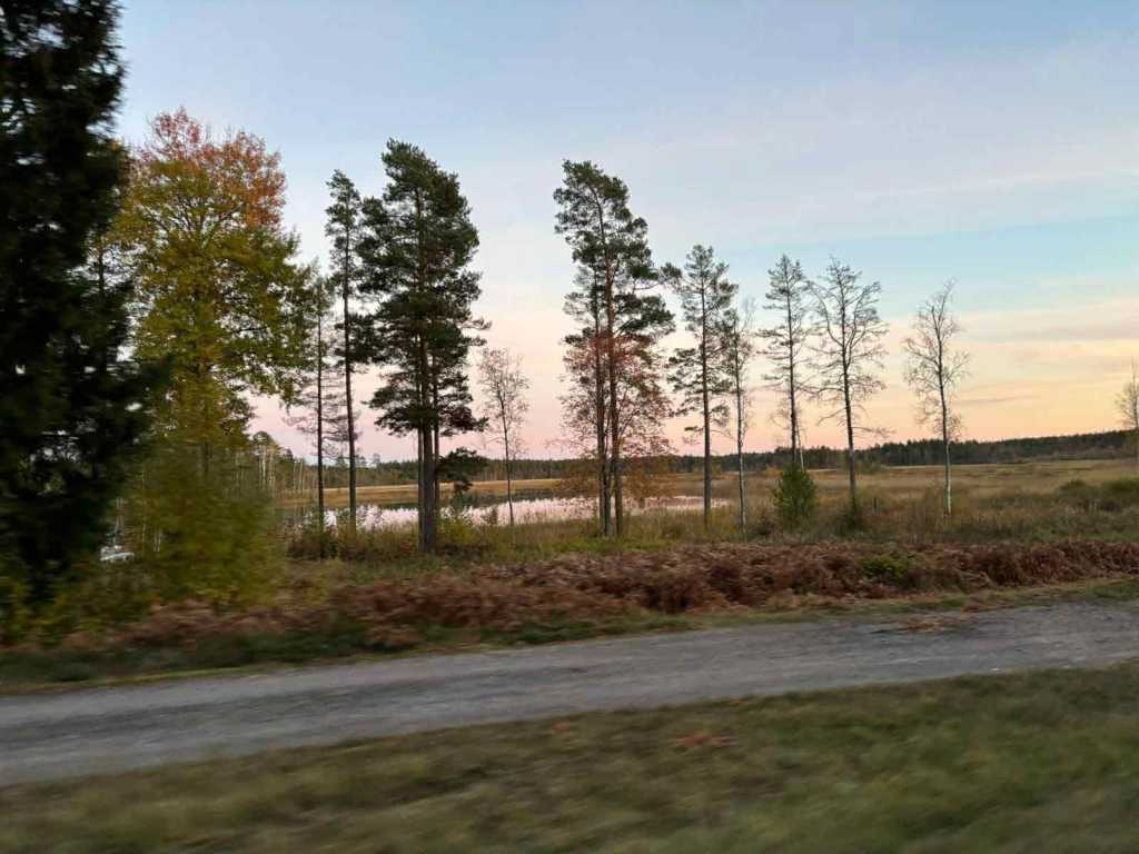 Schweden-Roadtrip-Landschaft-Strassenrand