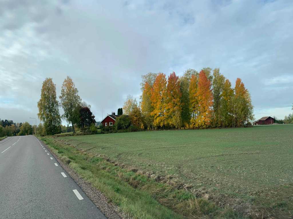 Sweden-Roadtrip-Landscape-October-2024