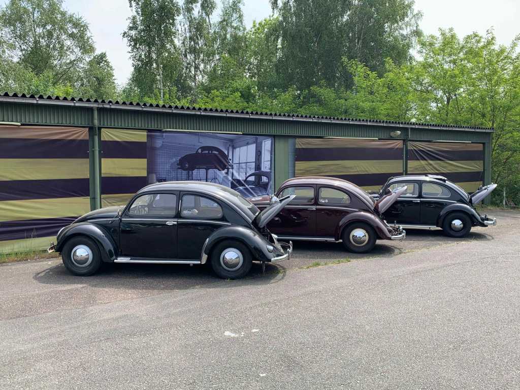 Volkswagen-Kaefer-Brezelfenster-VW-Treffen-BenPon-Show-2023